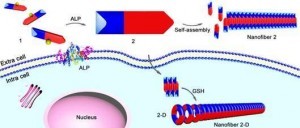 W020160819476892859309