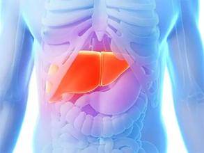 u=1376648984,610906336&fm=21&gp=0