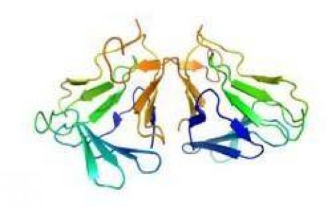 PLOS ONE：D二聚体可能比心肌损伤标志物更先进