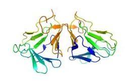 u=1878858567,1258401970&fm=21&gp=0