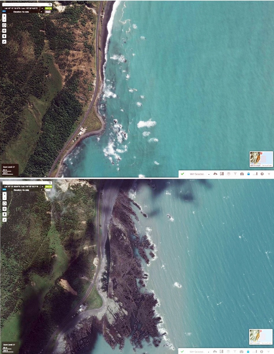 图10：Waipapa海湾地震前（上图）与地震后（下图）的Worldview-2高精度卫星影像对比，显示东侧海床被抬升约2-3米（来源：Ryan Gold）