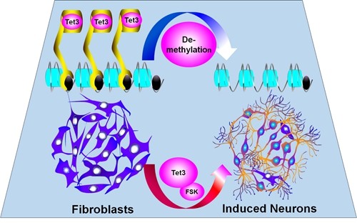w020161124504880538740
