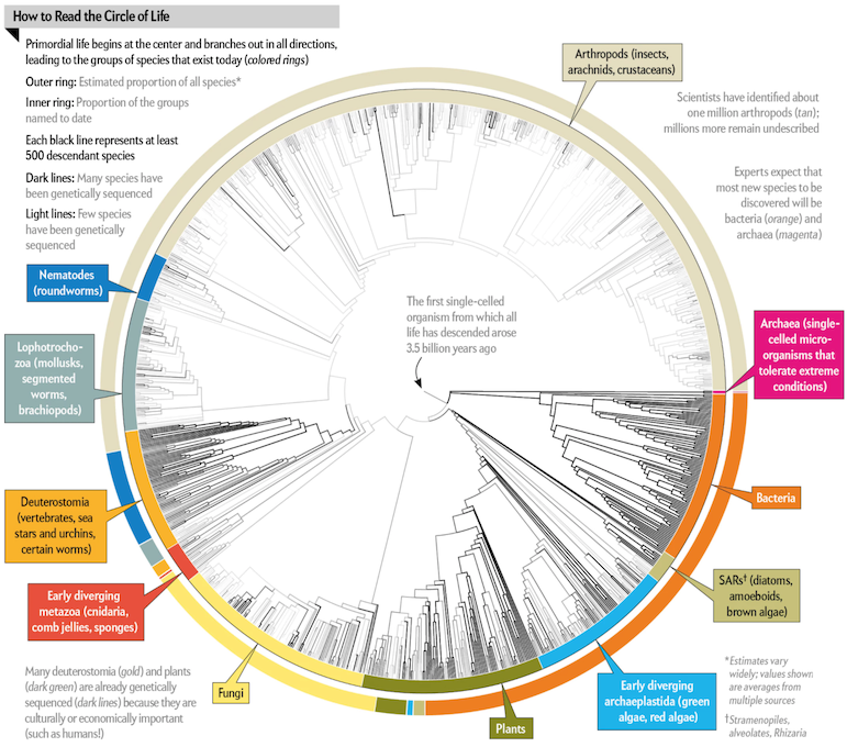 graphicsciencemarch2016