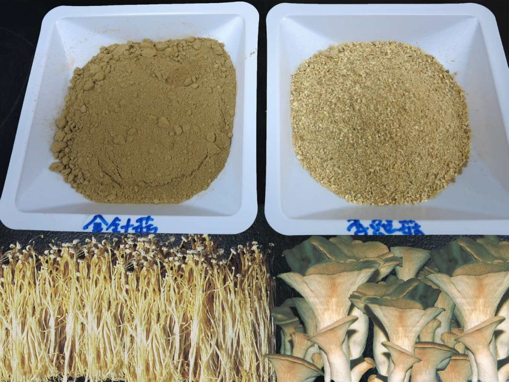 我们吃蘑菇切掉的根部,可能是家畜的绝好营养品