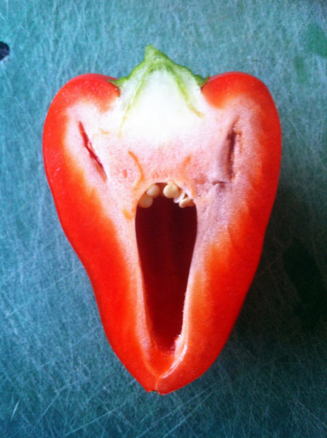 「欸欸、那看起来好像一张脸！」－其实猴子跟你想的一样