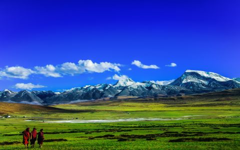 青藏高原在变绿 | 中国一周科技速览 #170903