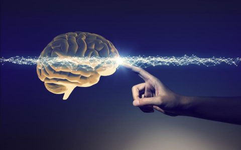 疯狂的人类复活计划：逆转脑死亡，是科学还是鬼扯？