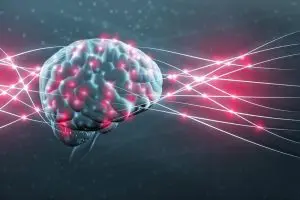 科学家发现影响记忆力的原因