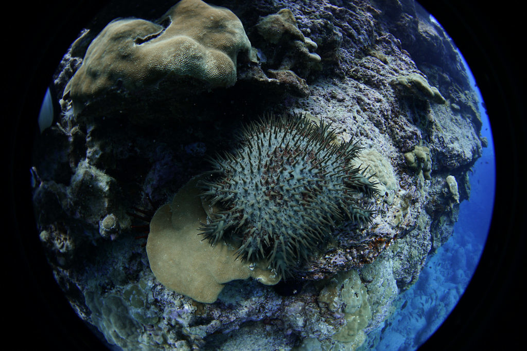 生物多样性,可能是人类对抗极端气候和全球暖化的最佳利器