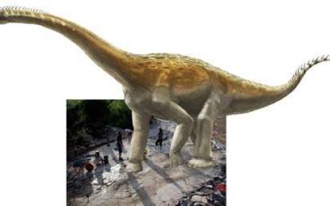 世界上保留最长的恐龙行进道路