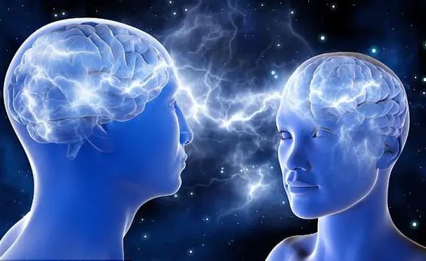 男人和女人的大脑有何不同？