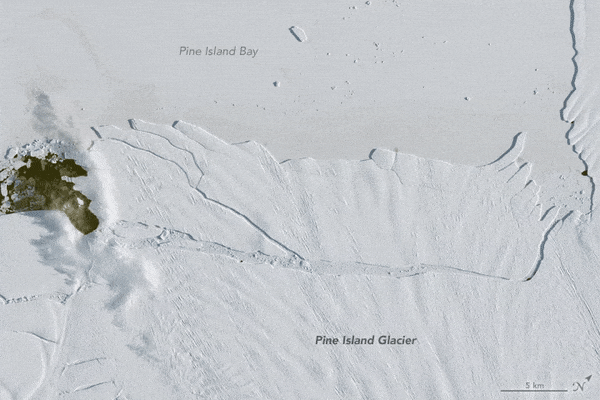 南极西部的冰山刚出现，几周后又分裂了