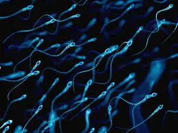 精子的活动性是如何影响生育的？