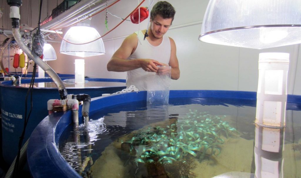 小型生态环境模拟全球气候变化