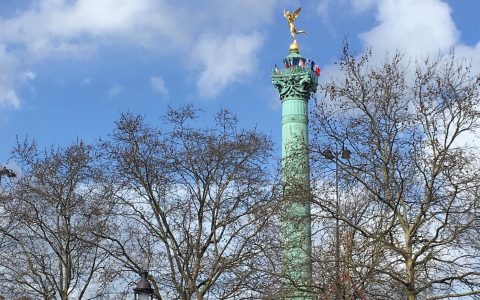 想要一头秀发?小麦或许比其他高档的洗发水做的更好