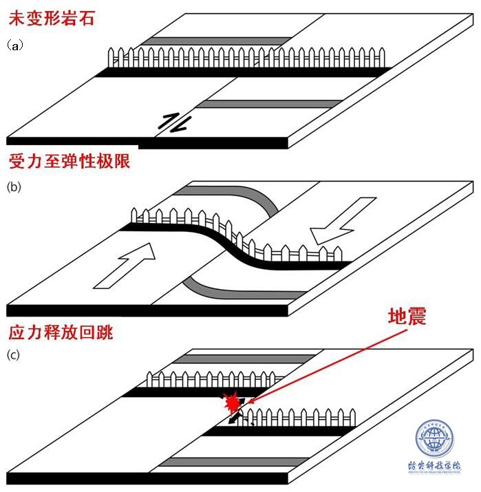 跨圣安德烈斯断层的篱笆当断裂弹性回跳时造成的结果。(a)篱笆垂直穿过断层，地震前未发生形变。（b）构造力作用下横过断层的篱笆发生弯曲，两侧向相反方向移动；（c）在应变最大处发生破裂。