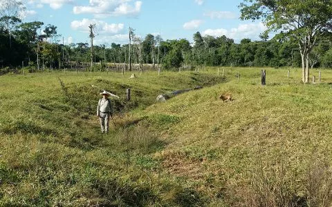消失的亚马逊古村落，500年后被发现