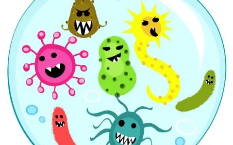 饮食习惯如何影响体内微生物