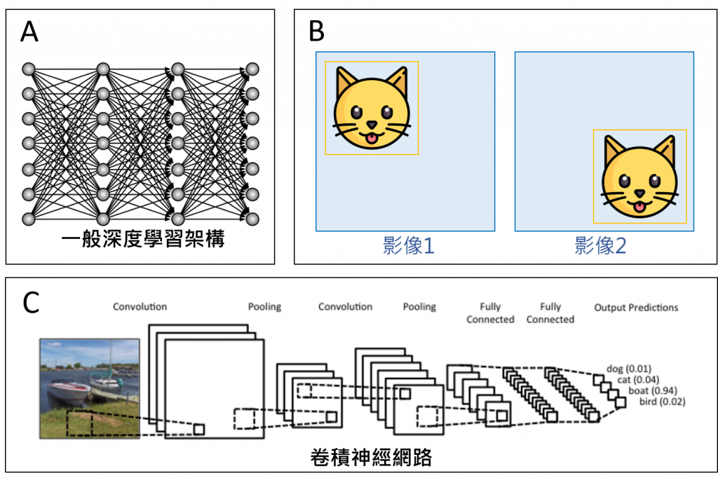 图二、(A)一般的深度学习架构示意图。(B)无论猫是在影像的左上角还是右下角都要能被辨识出来。这个空间关联性为神经网路加上了一个限制，使独立变数更少。(C)卷积神经网路示意图。