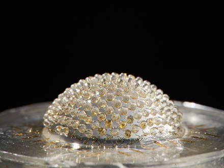 在改进智慧手机的路上,研究员开始参考昆虫世界。他们研究昆虫的眼睛而创造出这款有180 颗小镜头组成的小型半圆球相机。Photo via WIRED,Credit: Anna Knott