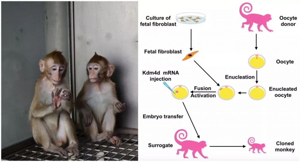 2018年度中国科学十大进展