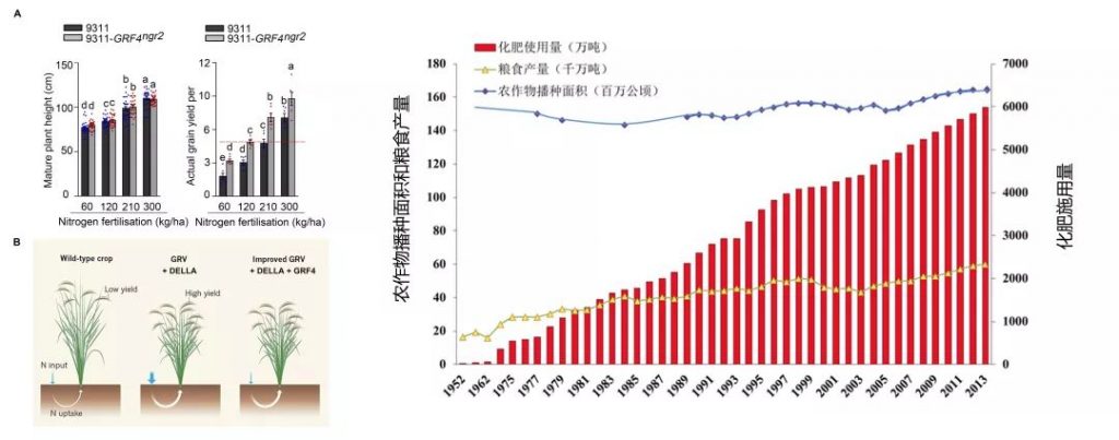 2018年度中国科学十大进展