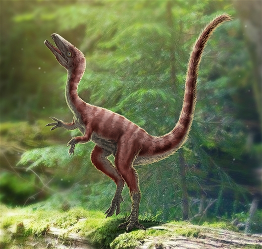 小个子恐龙如鸡，美颌龙类新物种在中国河北被发现