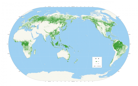 中国空天院首次发布2018年全球30米分辨率森林覆盖分布图