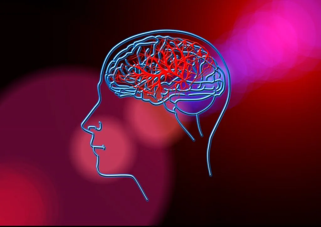 脑袋出现漏洞，导致大脑退化？
