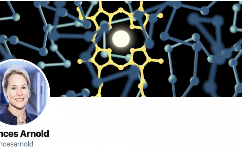 发现实验结果无法重复,美国科学家撤回学术期刊论文