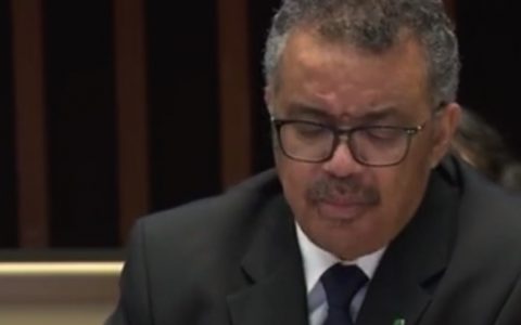 视频 | 世卫组织:遏制疫情挽救生命比发论文申专利更重要