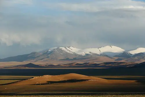 青藏高原塑造了东亚植被的多样性