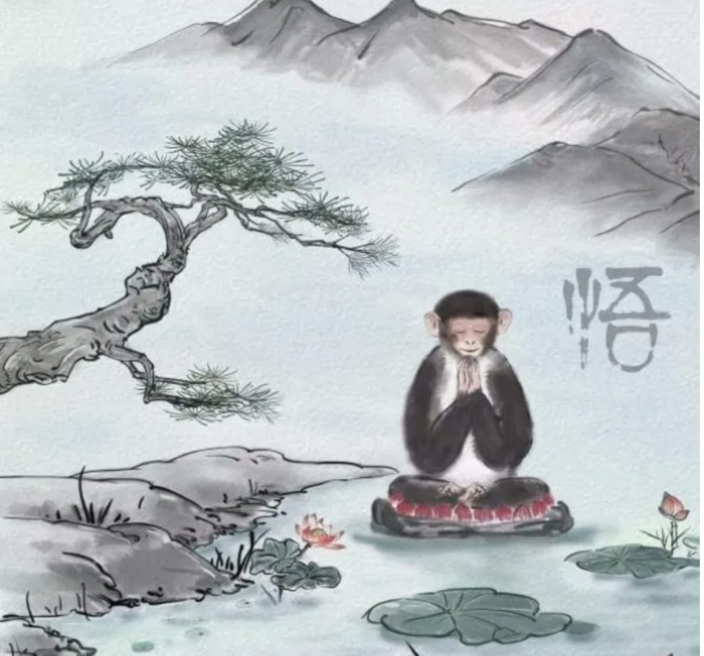 中国科学家揭示非人灵长类动物的高精度三维基因组学图谱