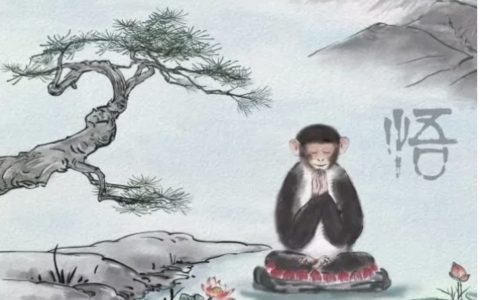 中国科学家揭示非人灵长类动物的高精度三维基因组学图谱