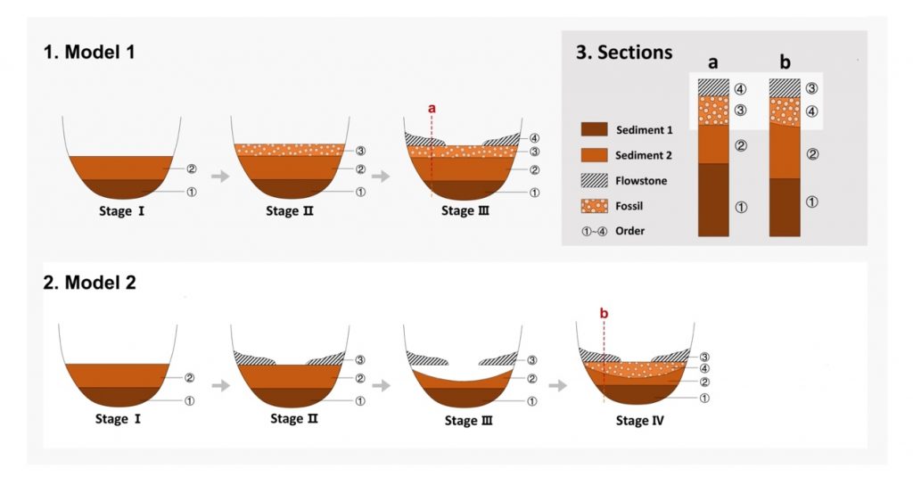 最新测年结果显示,早期现代人在中国出现的时间晚于5万年