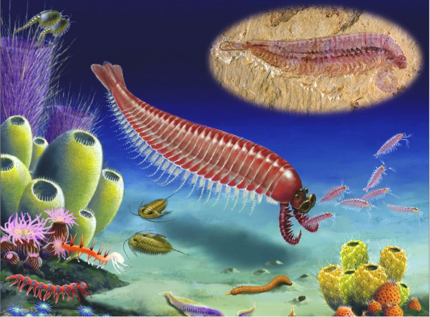 中国地质学会2020年度 “十大地质科技进展、十大地质找矿成果”