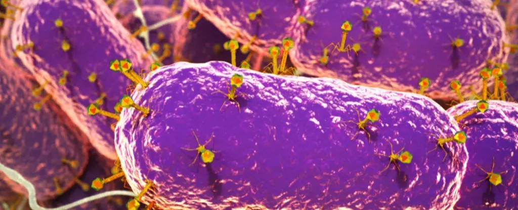 科学家在人类肠道中发现了14万种病毒，其中大多数是未知的