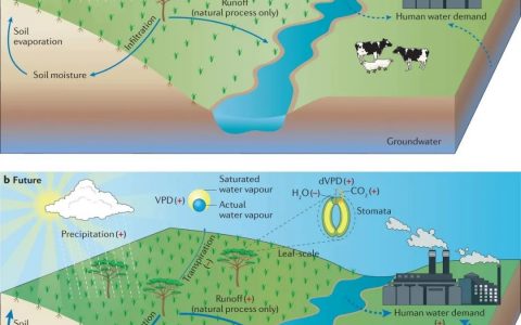 为什么过去40年气候干旱,但植被越来越多