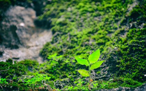 雷电促进了地球上生物的诞生