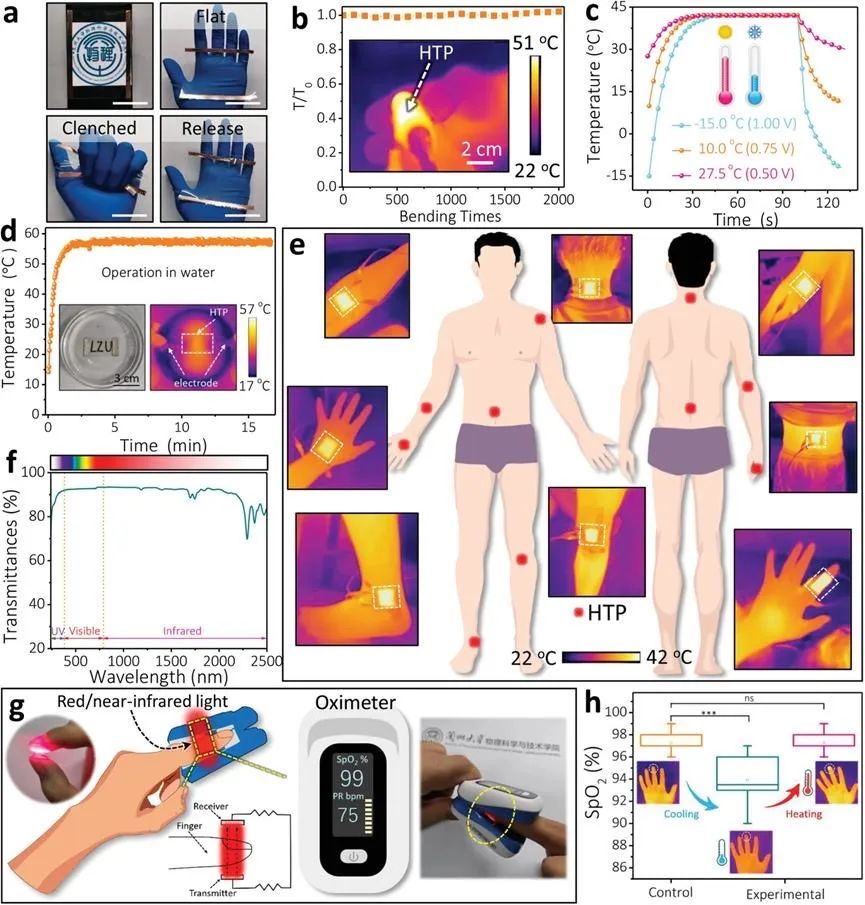 可穿戴型柔性透明热疗片显著抑制皮下肿瘤生长