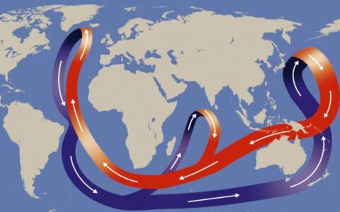 海洋系统濒于崩溃,将引发天气混乱