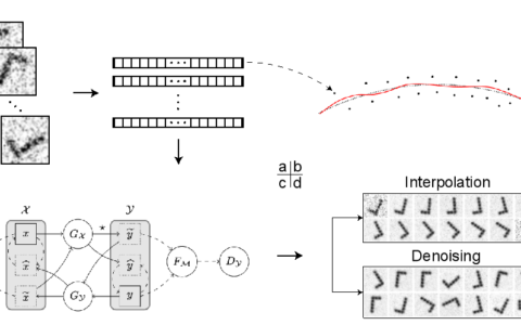 基于 CycleGAN 的流形拟合：解锁高维数据的秘密