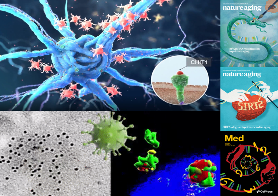2023年度中国生命科学十大进展