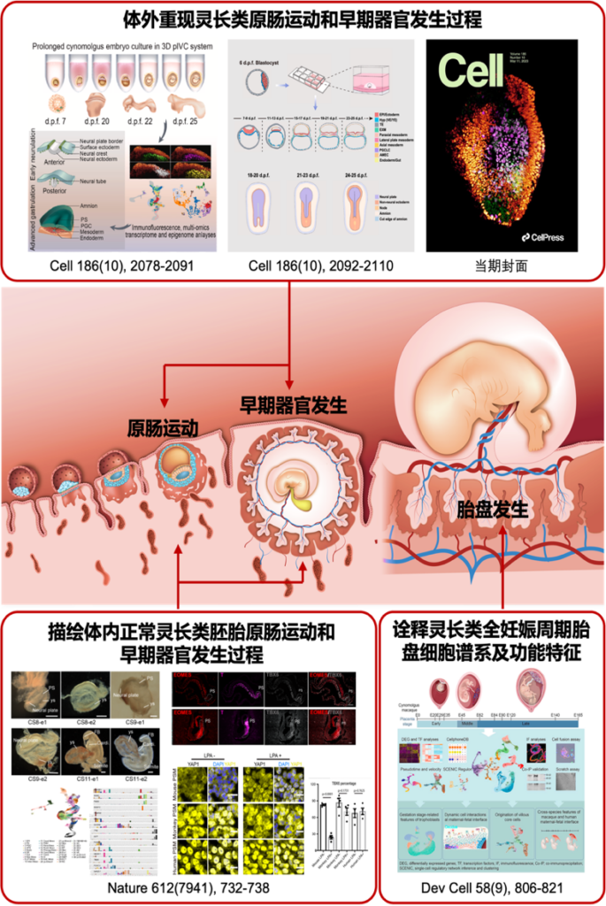 2023年度中国生命科学十大进展