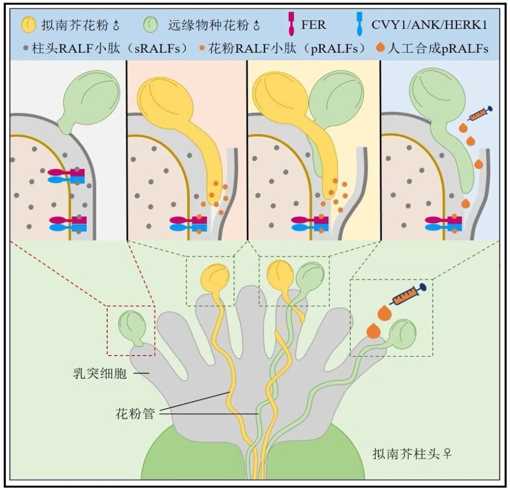 2023年度中国生命科学十大进展