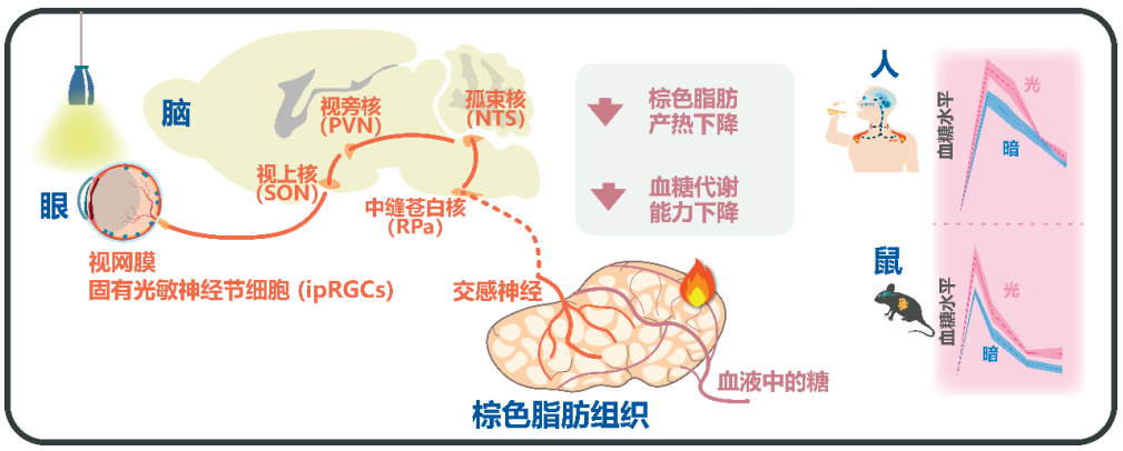 2023年度中国科学十大进展