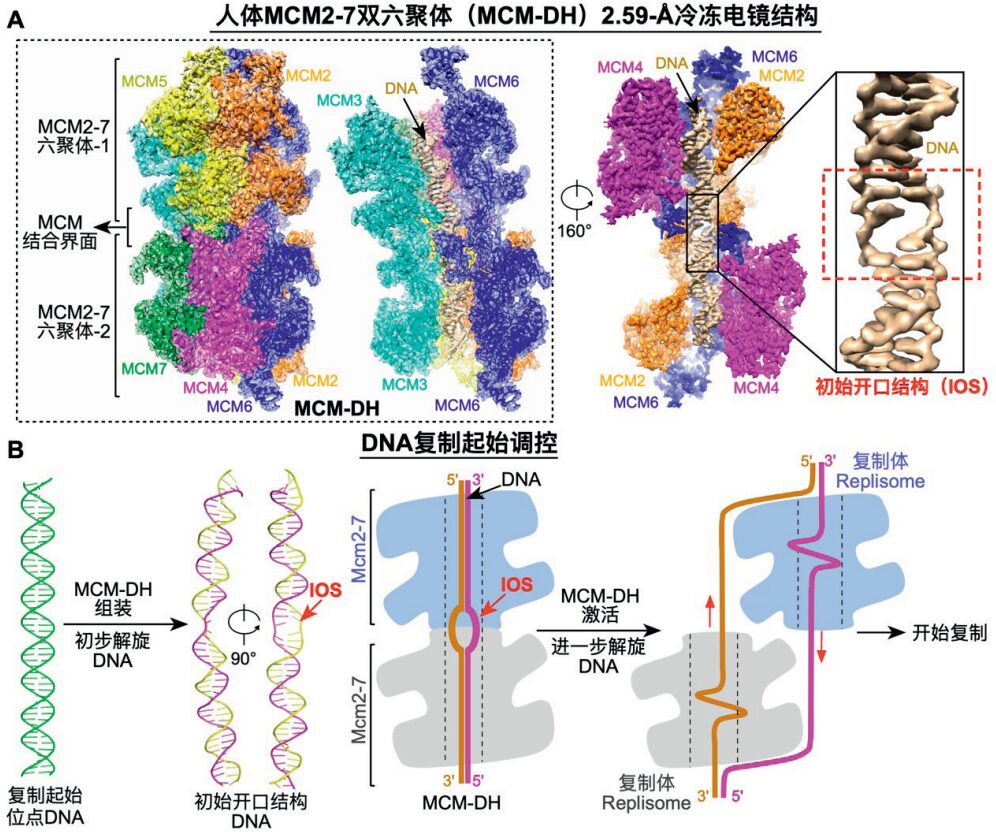 2023年度中国科学十大进展