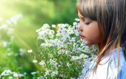 科学家获得环核苷酸门控离子通道的高分辨率三维结构