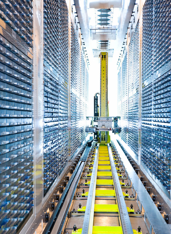 影响智力的基因已被科学家找到