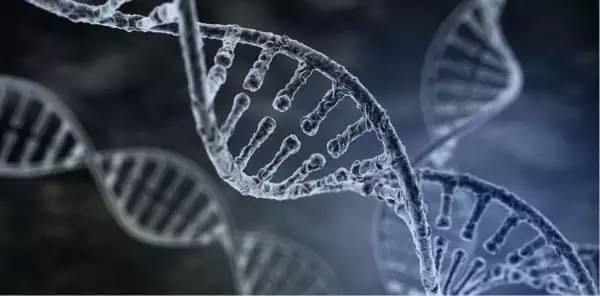 865d20d16bba4f9bb0433fa5f7d5e7f0_th